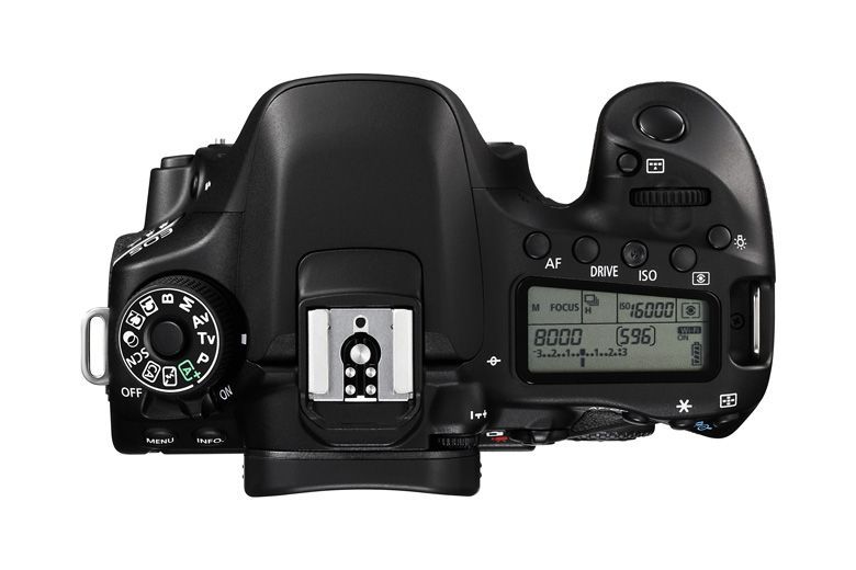Canon EOS 80D Body Draufsicht